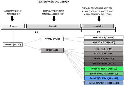 Animal model for high consumption and preference of ethanol and its interplay with high sugar and butter diet, behavior, and neuroimmune system